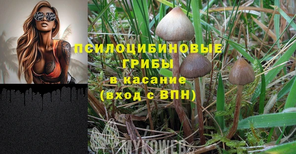 трава Алзамай