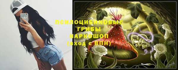 шишки Абинск