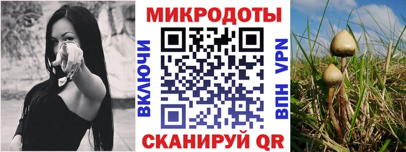 Псилоцибиновые грибы Magic Shrooms  ссылка на мегу маркетплейс  Боровичи 