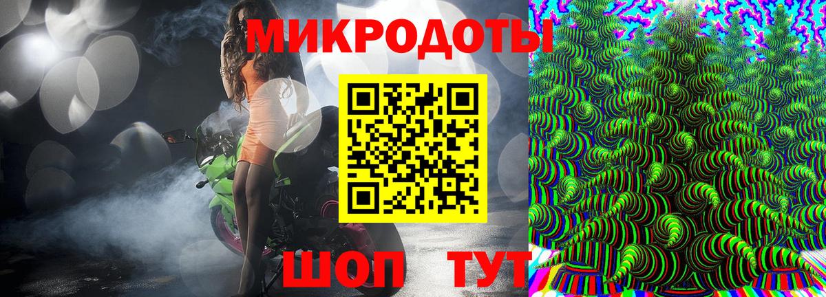 Боровичи  Псилоцибиновые грибы Psilocybe  Вход с VPN 